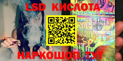 шишки Бийск