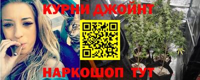 шишки Бийск