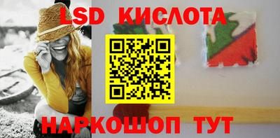 шишки Бийск